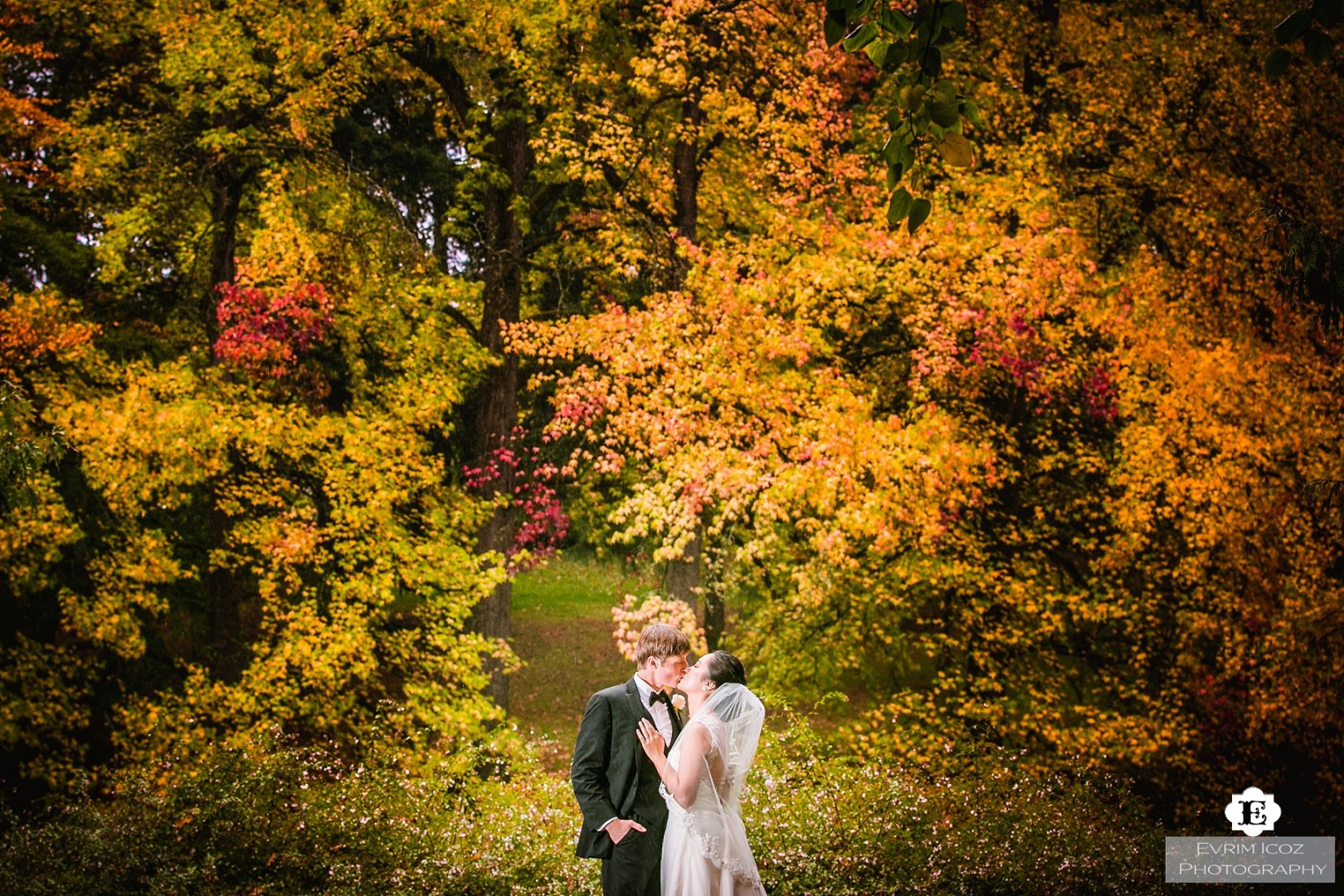 Yan And Mat's Old Laurelhurst Park And The Laurelhurst Club Wedding ...